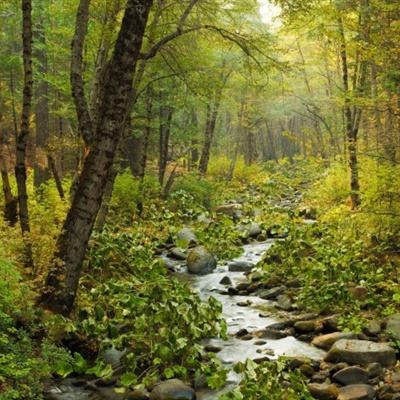 KOK中欧体育截图