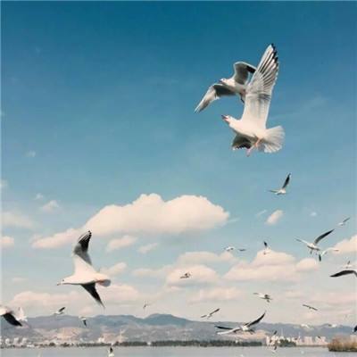 KOK中欧体育截图